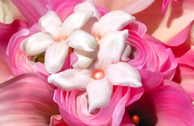 Jasmine, Rose